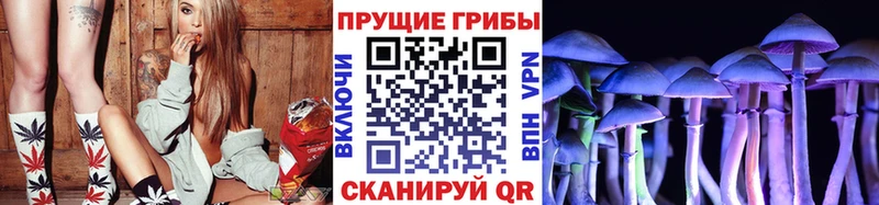 Купить  Искитим  Галлюциногенные грибы MAGIC MUSHROOMS 